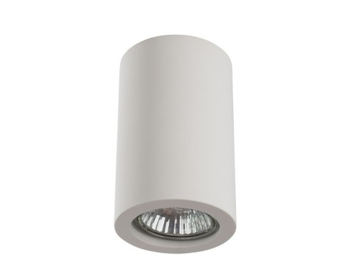 Накладной светильник ARTE Lamp A9260PL-1WH