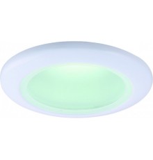 Влагозащищенный светильник ARTE Lamp A2024PL-1WH