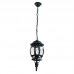 Подвесной уличный светильник ARTE Lamp A1045SO-1BG