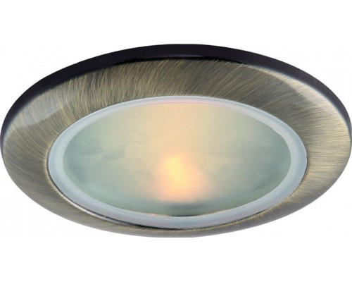 Влагозащищенный светильник ARTE Lamp A2024PL-1AB