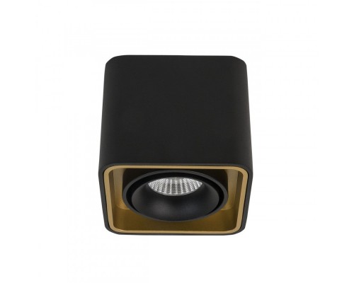 Накладной светильник LeDron TUBING Black/Gold