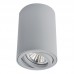 Накладной светильник ARTE Lamp A1560PL-1GY