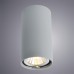 Накладной светильник ARTE Lamp A1516PL-1GY