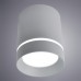 Накладной светильник ARTE Lamp A1909PL-1GY
