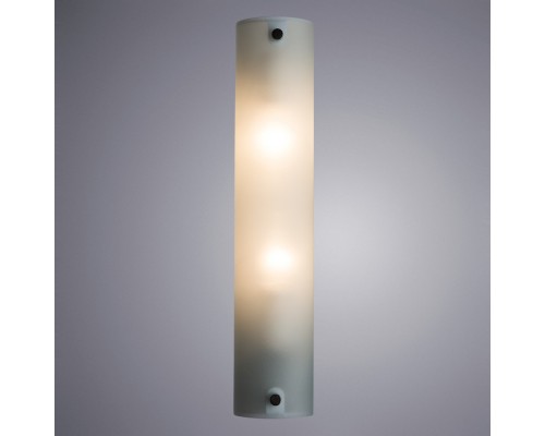 Светильник для картин ARTE Lamp A4101AP-2WH