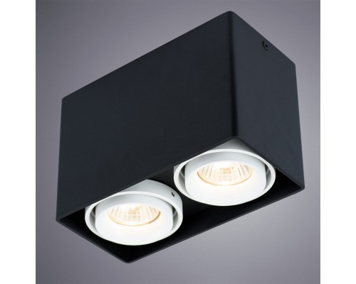 Накладной светильник ARTE Lamp A5655PL-2BK