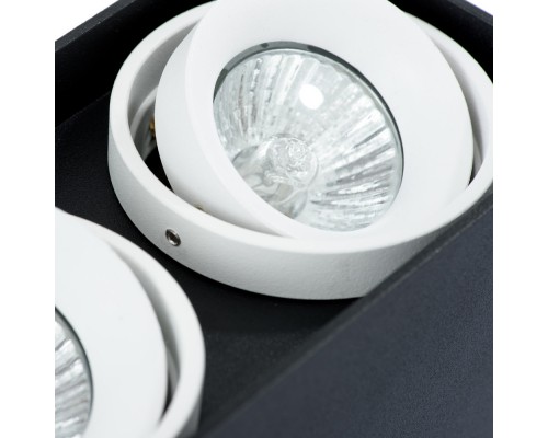Накладной светильник ARTE Lamp A5655PL-2BK