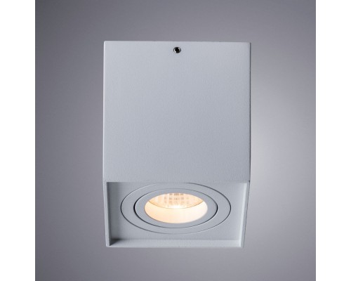 Накладной светильник ARTE Lamp A5544PL-1WH