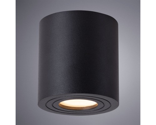 Влагозащищенный светильник ARTE Lamp A1460PL-1BK