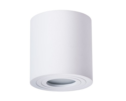 Влагозащищенный светильник ARTE Lamp A1460PL-1WH