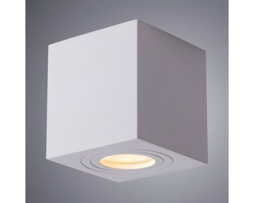 Влагозащищенный светильник ARTE Lamp A1461PL-1WH