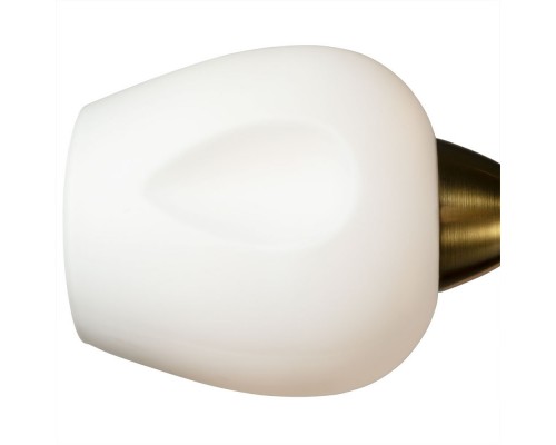 Накладная люстра ARTE Lamp A2706PL-5CK