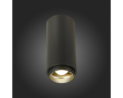 Накладной светильник ST-Luce ST600.442.10