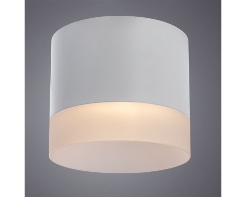 Накладной светильник ARTE Lamp A5554PL-1WH