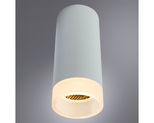 Накладной светильник ARTE Lamp A5556PL-1WH