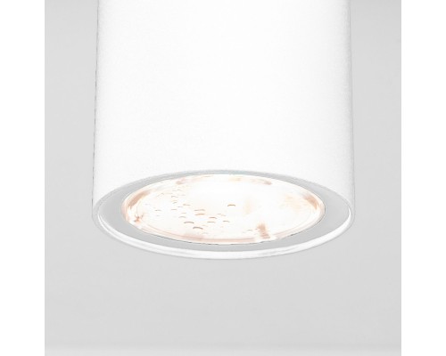 Накладной уличный светильник Elektrostandard Light LED 2102 (35129/H) белый