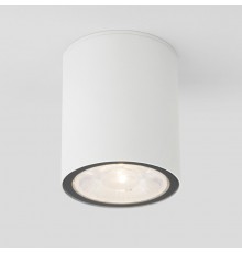 Накладной уличный светильник Elektrostandard Light LED 2103 (35131/H) белый