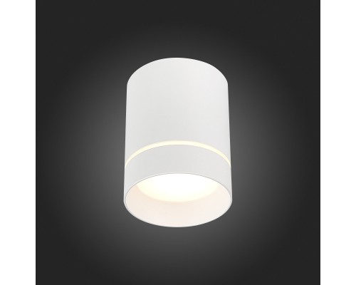 Накладной светильник ST-Luce ST115.542.12