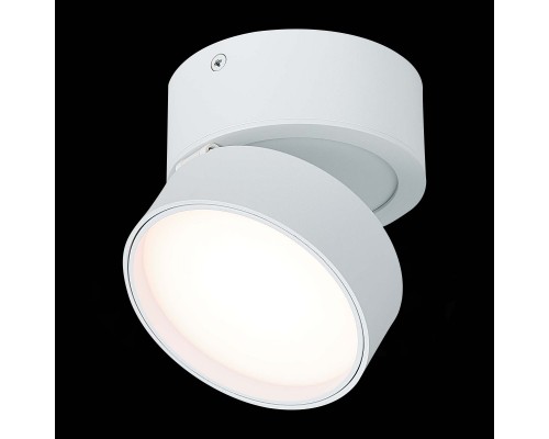 Накладной светильник ST-Luce ST651.532.14