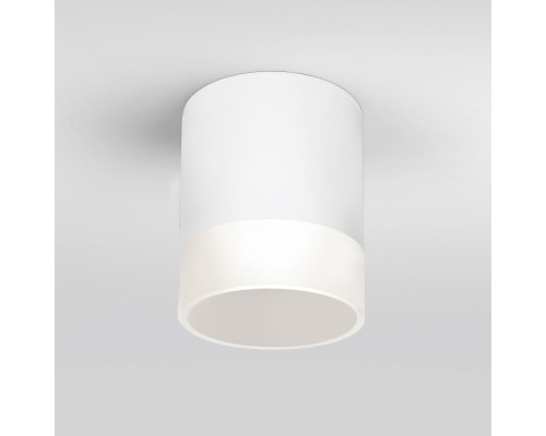 Накладной уличный светильник Elektrostandard Light LED 2107 (35140/H) белый
