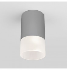 Накладной уличный светильник Elektrostandard Light LED 2106 (35139/H) серый
