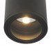 Накладной уличный светильник Maytoni O306CL-L12GF