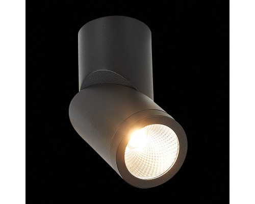 Влагозащищенный светильник ST-Luce ST650.442.10