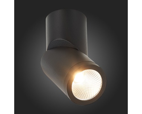 Влагозащищенный светильник ST-Luce ST650.432.10