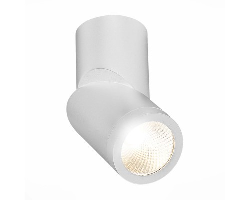 Влагозащищенный светильник ST-Luce ST650.542.10