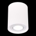 Накладной светильник ST-Luce ST156.502.01