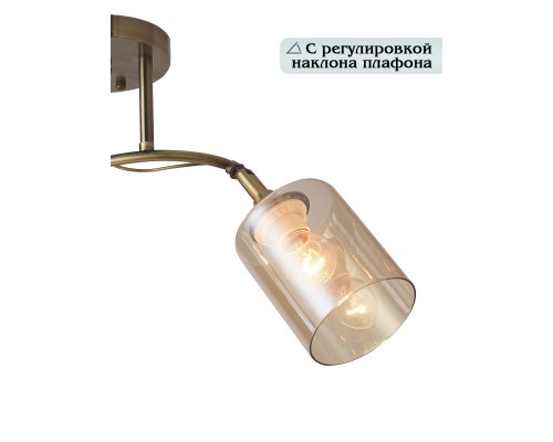 Подвесной светильник Natali Kovaltseva 81452/2W