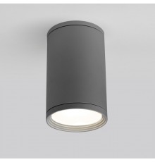 Накладной уличный светильник Elektrostandard Light 2101 (35128/H) серый