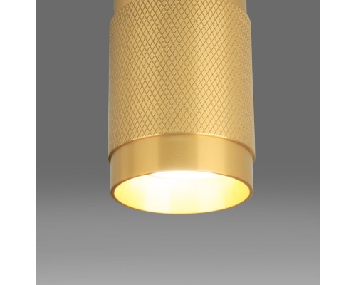 Накладной светильник Elektrostandard DLN109 GU10 золото