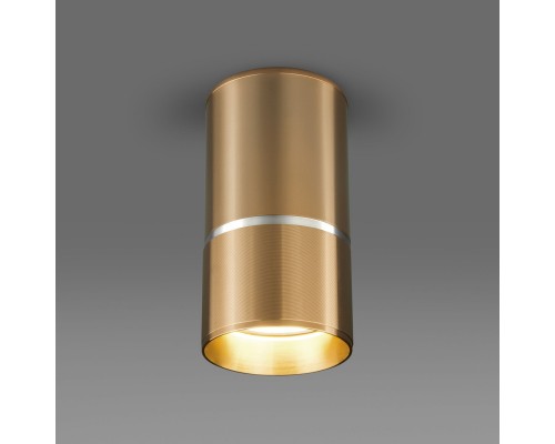 Накладной светильник Elektrostandard DLN106 GU10 золото