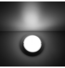 Пылевлагозащищенный светильник Gauss 126411212