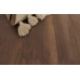 Ламинат Floor Fort  Орех Стенфорд 19004-1