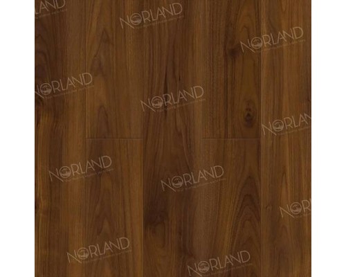 Ламинат Norland Elegant  LF301-19 Орех Кипр 