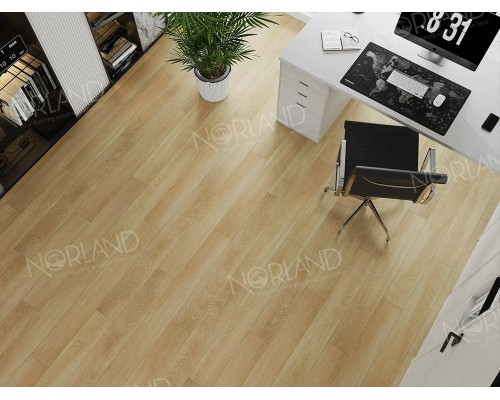 Ламинат Norland Elegant LF301-04 Дуб Тасмания Ламинат Norland Elegant LF301-04 Дуб Тасмания