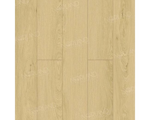 Ламинат Norland Elegant Strong LF302-05 Дуб Азор Ламинат Norland Elegant Strong LF302-05 Дуб Азор