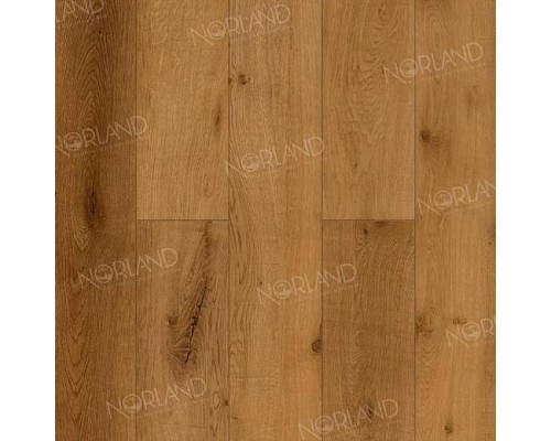 Ламинат Norland Elegant LF301-13 Дуб Помона Ламинат Norland Elegant LF301-13 Дуб Помона