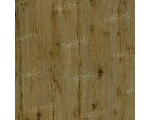 Ламинат Norland Elegant Strong LF302-14 Дуб Скай Ламинат Norland Elegant Strong LF302-14 Дуб Скай
