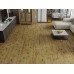 Ламинат Norland Elegant Strong LF302-14 Дуб Скай