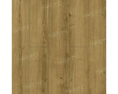 Ламинат Norland Elegant Strong LF302-17 Дуб Фанэн