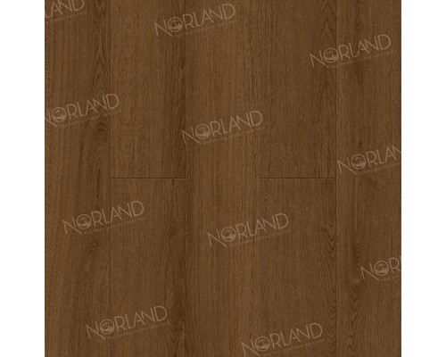 Ламинат Norland Elegant Strong LF302-20 Дуб Этна Ламинат Norland Elegant Strong LF302-20 Дуб Этна