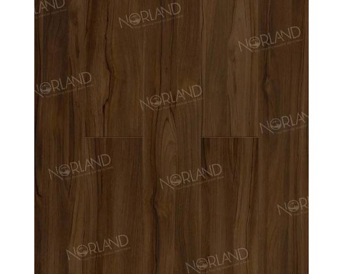 Ламинат Norland Elegant Strong LF302-21 Орех Инис