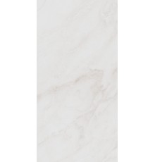 Керамическая плитка KERAMA MARAZZI Парнас светлый лаппатированный 40х80 SG810002R