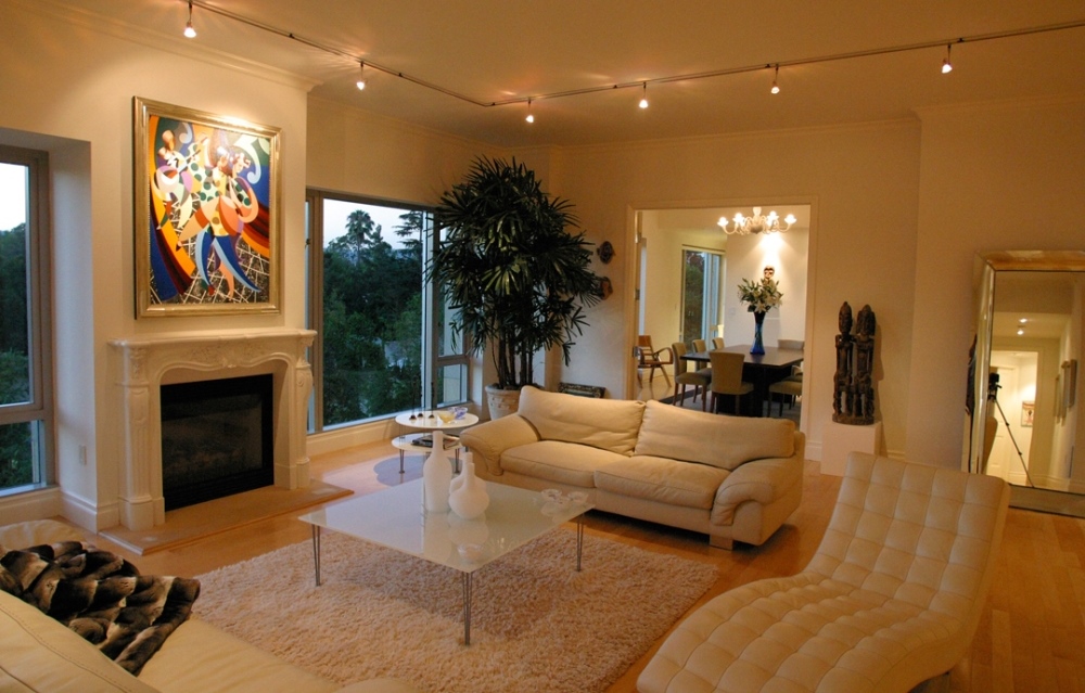 Трековые светильники в гостиной